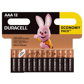 Pilas alcalinas Duracell Basic LR03/AAA - 12 uds.