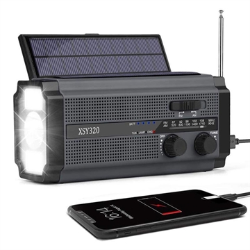 Lippa LPFMR02 Radio FM de emergencia con manivela, panel solar y batería de 4500mAh - Negro